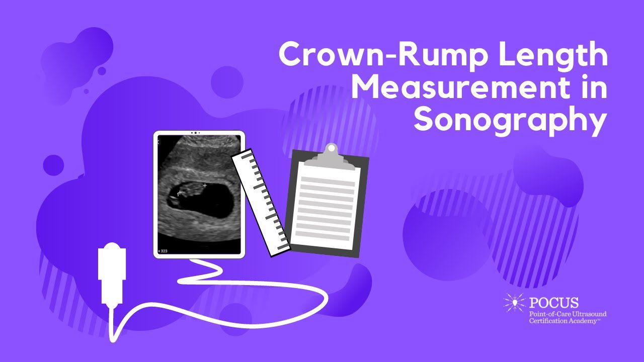 Crown-Rump Length Measurement In Sonography | POCUS Resources & Case ...