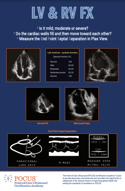 Ejection Fractions | POCUS Resources & Case Studies | POCUS.org